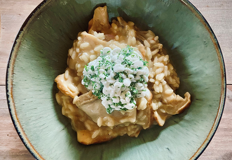 Steinpilrisotto